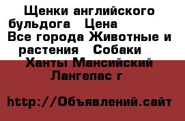 Щенки английского бульдога › Цена ­ 40 000 - Все города Животные и растения » Собаки   . Ханты-Мансийский,Лангепас г.